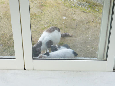 ゆっくりお食べ〜